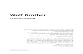 Wolf Brother Teaching resource sheets (PDF, 209 KB)