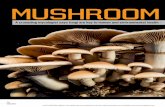 Mushroom Manifesto