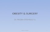Obesity & Surgery