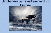 Underwater restaurant in Dubai
