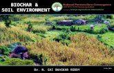 Biochar and soil environment