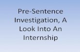 Pre-Sentence Investigation, A Look Into An Internship