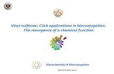 Vinyl sulfones: Click applications in bioconjugation. The resurgence of a chemical function