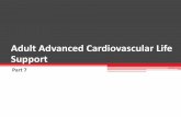 CPR2015 update: Adult ACLS