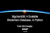 BigchainDB: A Scalable Blockchain Database, In Python