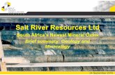 Salt River Resources Ltd 24 Sept16 Summary Geology and Mineralogy