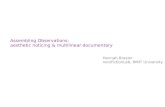 Assembling Observations: Aesthetic Noticing and Multilinear Documentary