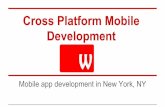 Cross Platform Mobile Development in New York City