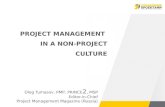 Implementing a non-project culture