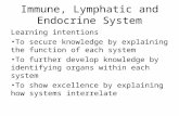 Immune lymphatic and endocrine system