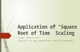 Application of square root of time scaling