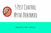 5 pest control  myths debunked