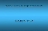 SAP ERP History & Implementation Details