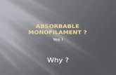 Absorbable monofilament