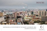 30.04.2014 How should investors interpret the shift in government policy and the introduction of the new investment law, Andrew Danenza