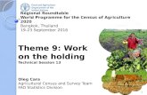 Census Theme 9 – Work on the holding : Technical Session 11