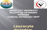 Leucocyte disorders