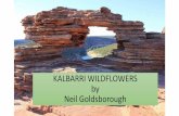 Kalbarri tour by Neil Goldsborough