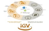 Online Web Solutions Company - IGV