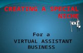 What is a virtual assistant niche?