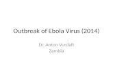 Ebola virus outbreak 2014-2015