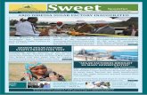 Sweet Newsletter Vol.3. No.4 June 2015 , by Ethiopian Sugar Corporation