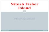 Nitesh fisher island