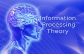 Information  processing