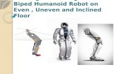 Walking Control Algorithm of Biped Humanoid Robot on Even, Uneven and Inclined Floor