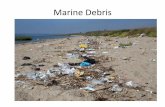 Jamaica bay marine debris program nov 2016