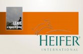 Heifer international