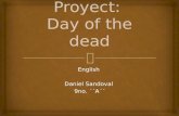 Proyect: Day of the dead