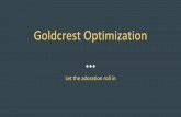 Goldcrest optimization