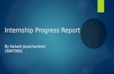Internship Progress Review