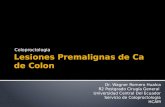 Lesiones Premalignas de Cancer de Colon 2013