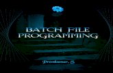 Batch file-programming