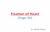 Fixation of the Heart, Sympathetic Chain, Autonomic Plexuses & Lymphatic drainage (Anatomy of the Thorax)