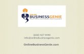 Online Business Genie Website Audit PowerPoint