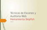 Skipfish web application security scanner