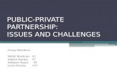 Public Private Patnership