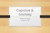 Cognition learning