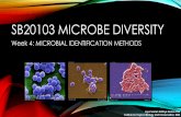 SB20103 Microbe Diversity: Microbe Identification Methods