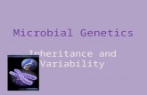 Microbiology Bio 127 Microbial Genetics
