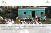Accessing and Using Genetic Diversity for Climate Change Adaptation