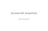 Second life snapshots