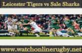 watch Tigers vs Sale Sharks live streaming