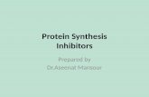 Antimicrobial 3 protein synthesis inhibitors