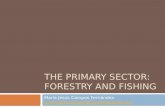 Primary Sector: Forestry and Fishing