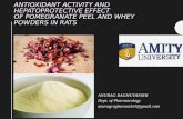 ANTIOXIDANT ACTIVITY AND HEPATOPROTECTIVE EFFECTOF POMEGRANATE PEEL AND WHEY POWDERS IN RATS