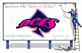 ACES Sponsorship Pack - 2016 Edition